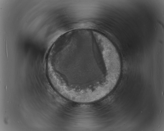 X0000103971419200810101257