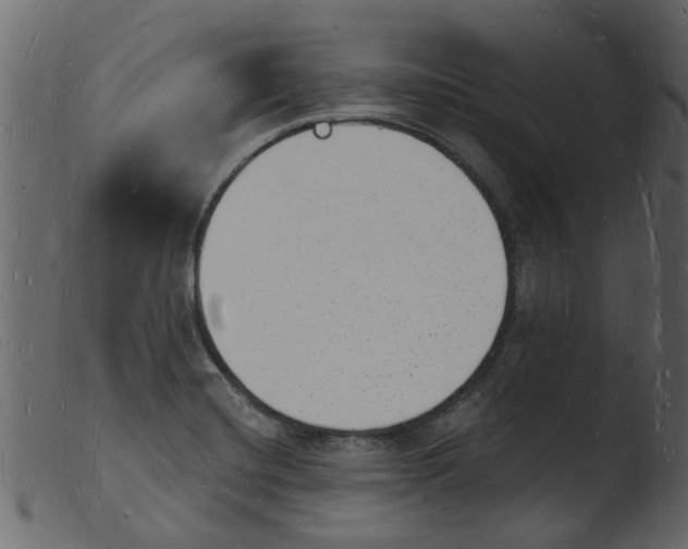 X0000103971420200810101257