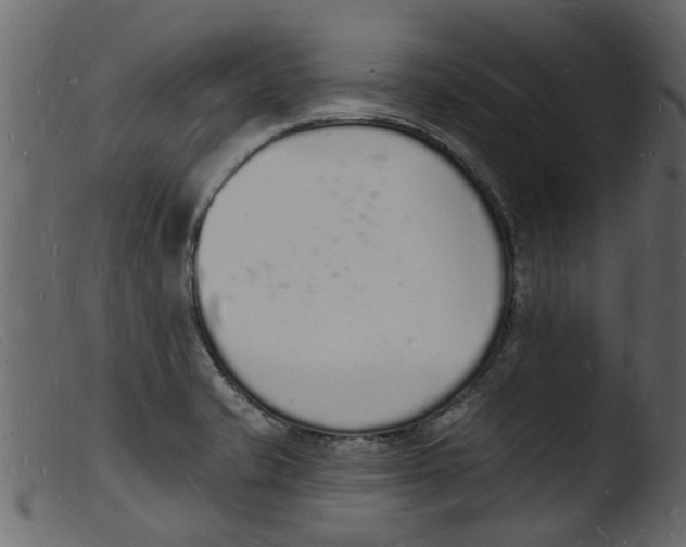 X0000103971421200810101257