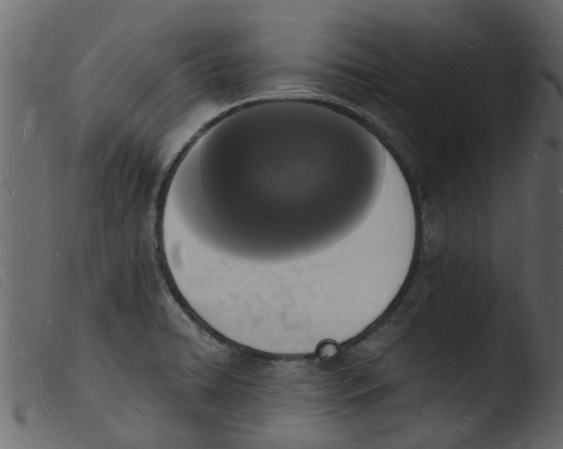 X0000103971422200810101257