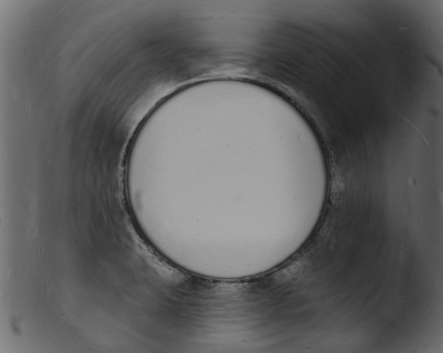 X0000103971423200810101257