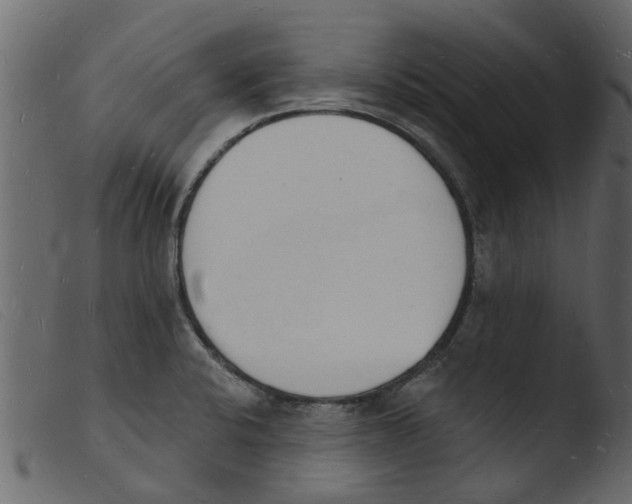 X0000103971424200810101257