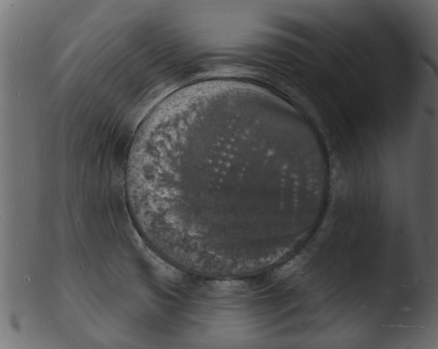 X0000103971425200810101257