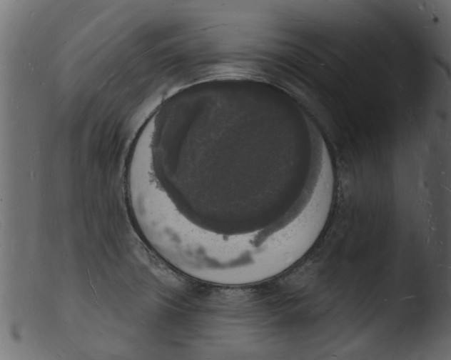 X0000103971427200810101257