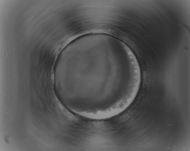 X0000103971428200810101257