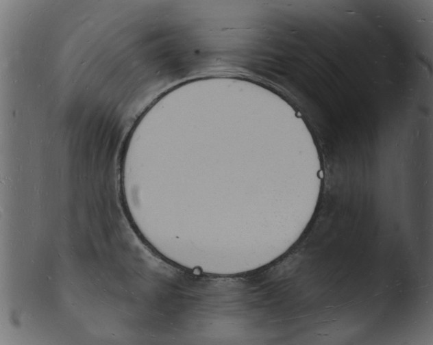 X0000103971430200810101257