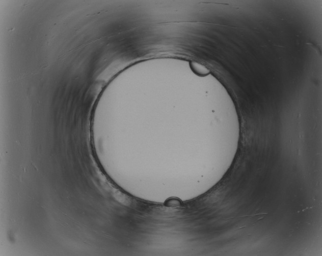 X0000103971431200810101257