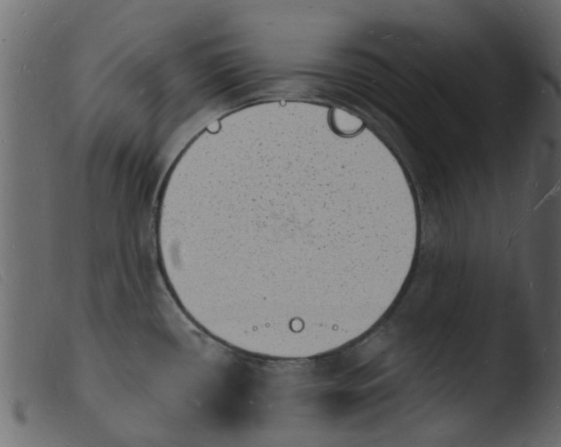 X0000103971434200810101257