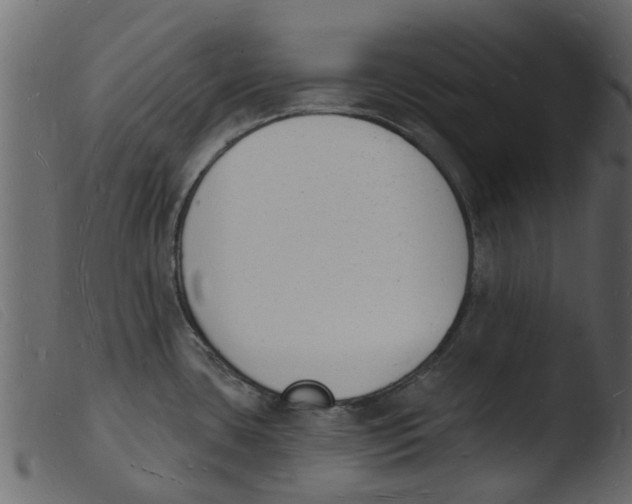 X0000103971435200810101257