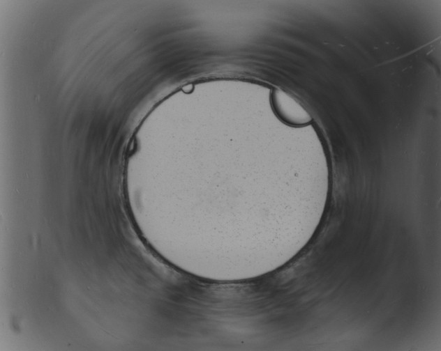 X0000103971437200810101257