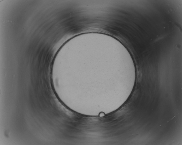 X0000103971438200810101257