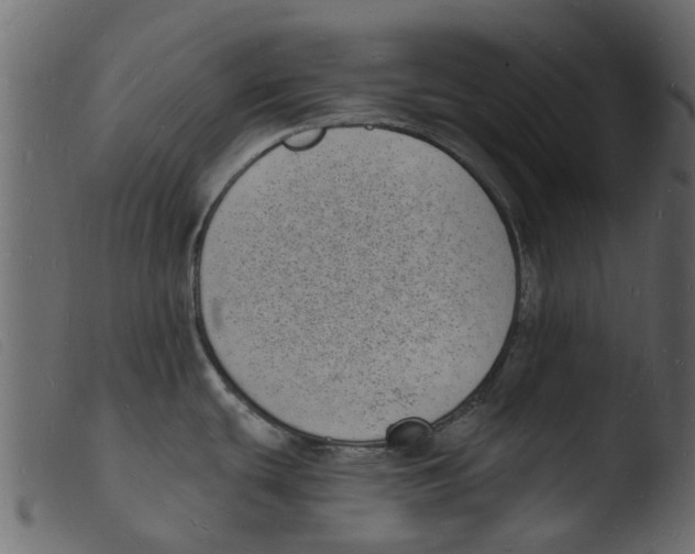 X0000103971439200810101257