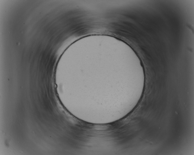 X0000103971440200810101257