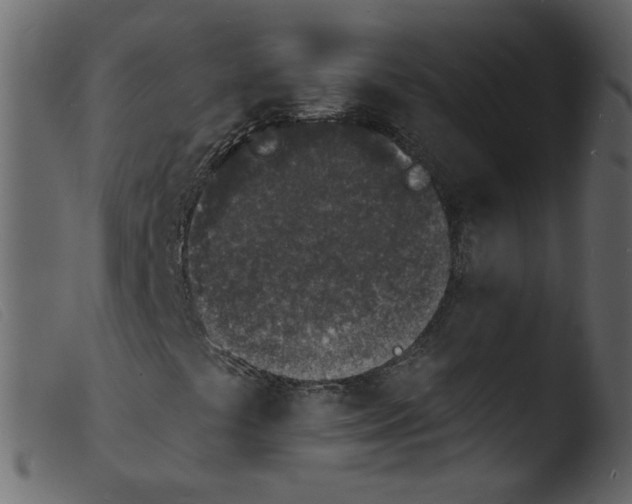 X0000103971441200810101257