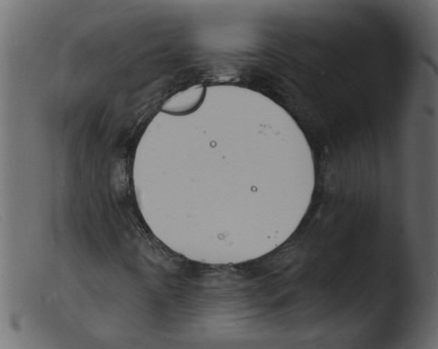 X0000103971442200810101257