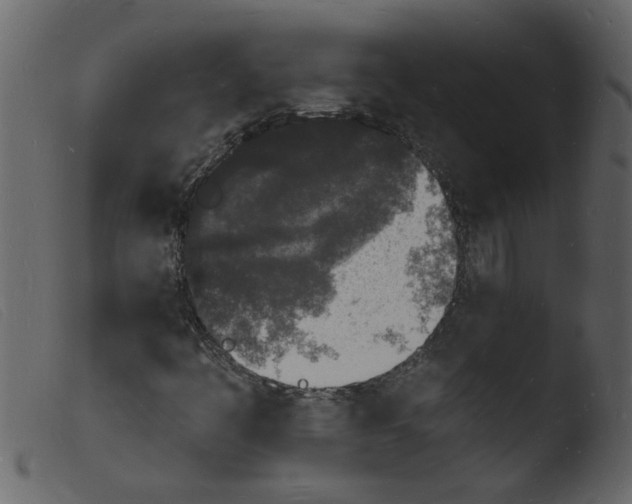 X0000103971445200810101257