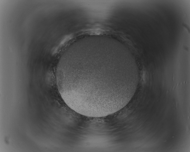 X0000103971446200810101257