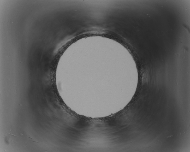 X0000103971448200810101256