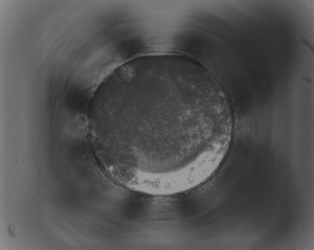 X0000103971449200810101256