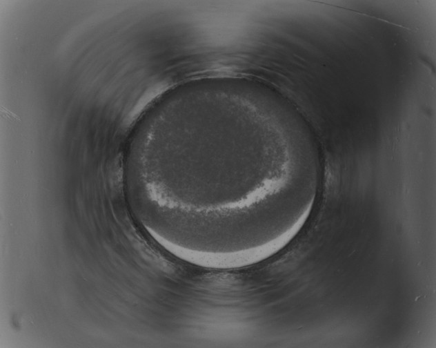 X0000103971450200810101256