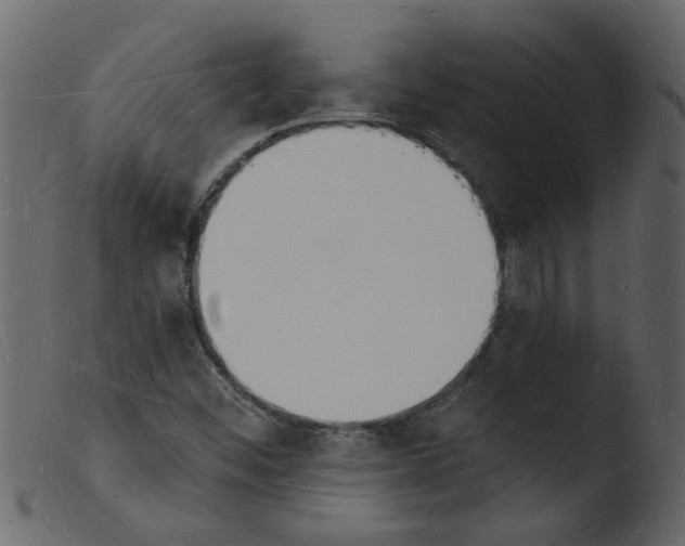 X0000103971452200810101256