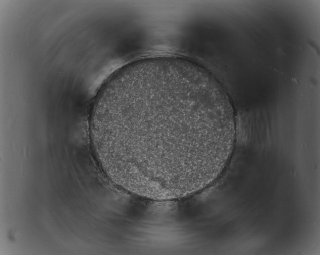 X0000103971453200810101256