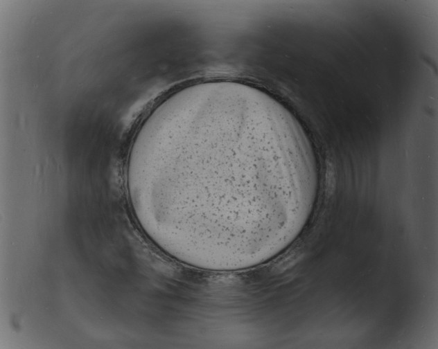 X0000103971454200810101256