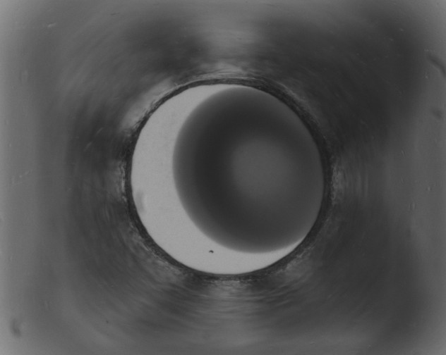 X0000103971455200810101256