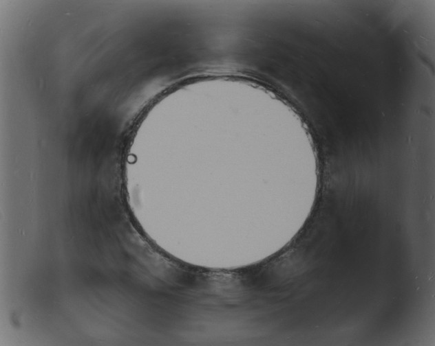 X0000103971456200810101256