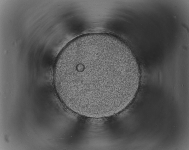 X0000103971457200810101256