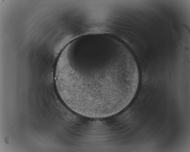 X0000103971459200810101256