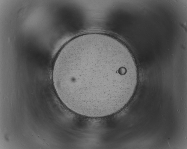 X0000103971461200810101256