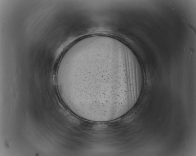 X0000103971462200810101256