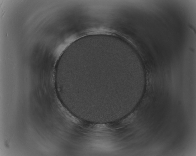 X0000103971463200810101256