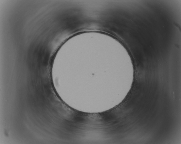 X0000103971464200810101256