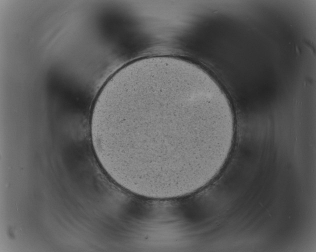 X0000103971465200810101256