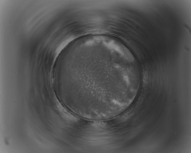 X0000103971466200810101256