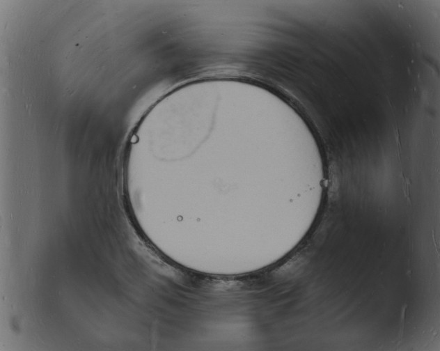 X0000103971467200810101256