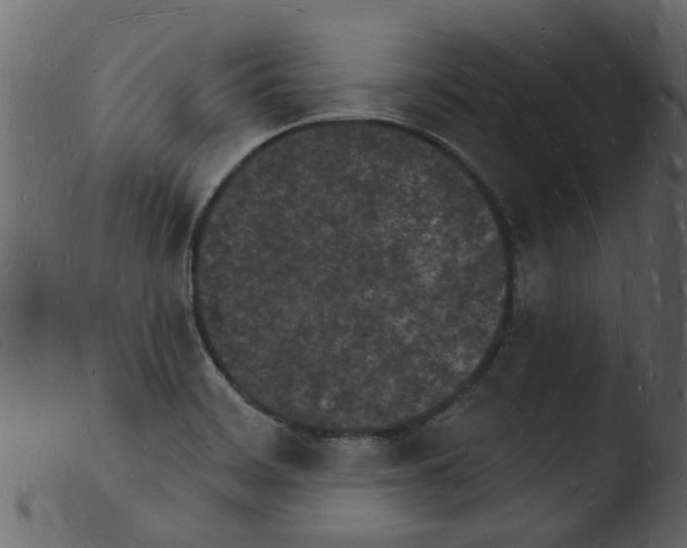 X0000103971468200810101256