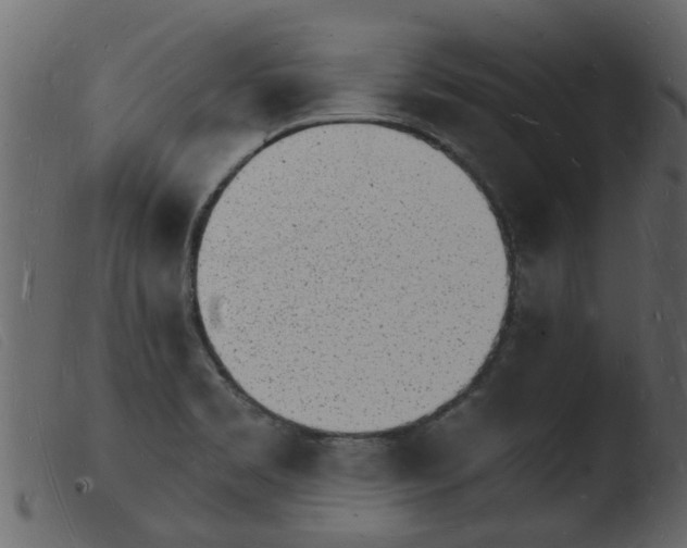 X0000103971469200810101256