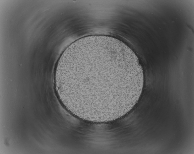 X0000103971471200810101256