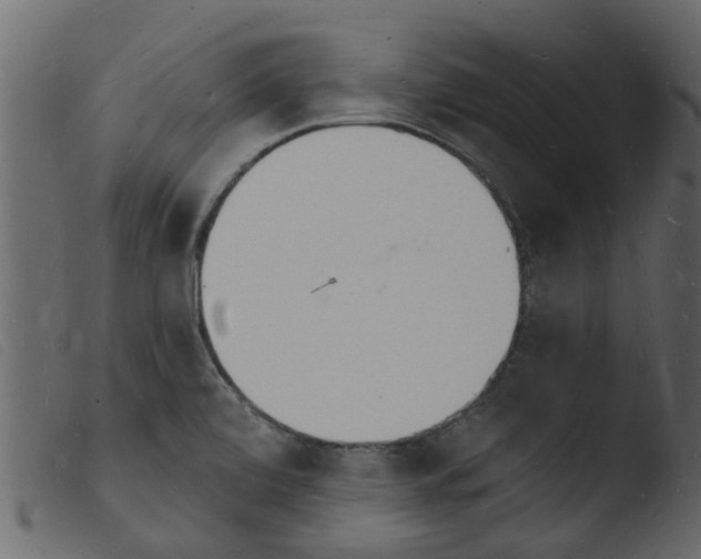 X0000103971472200810101256