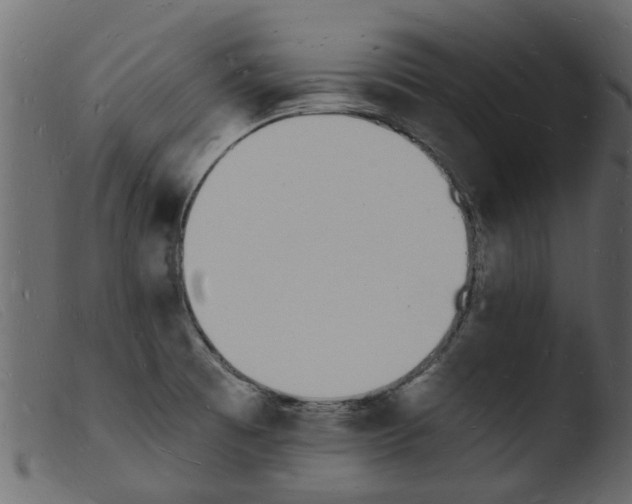 X0000103971473200810101256