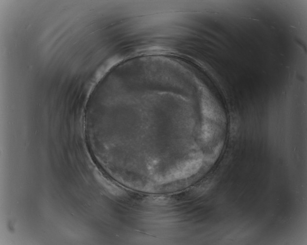 X0000103971474200810101256