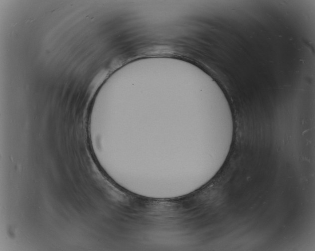 X0000103971475200810101256