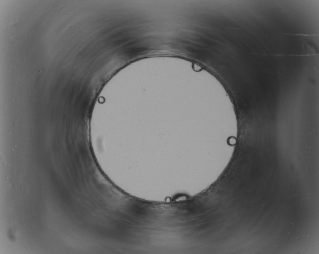 X0000103971476200810101256