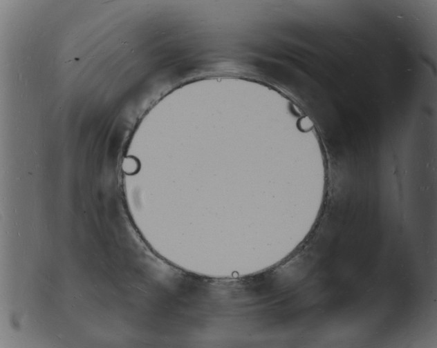 X0000103971477200810101256