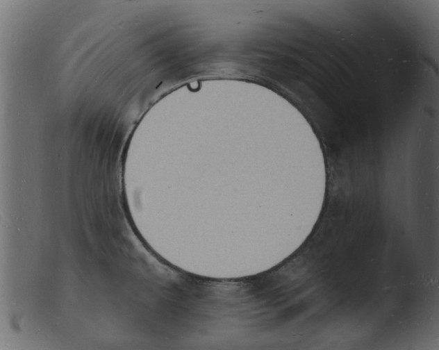 X0000103971479200810101256