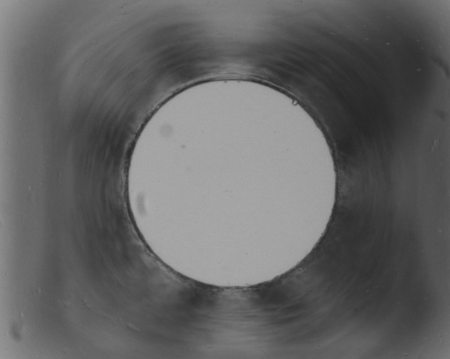 X0000103971480200810101256