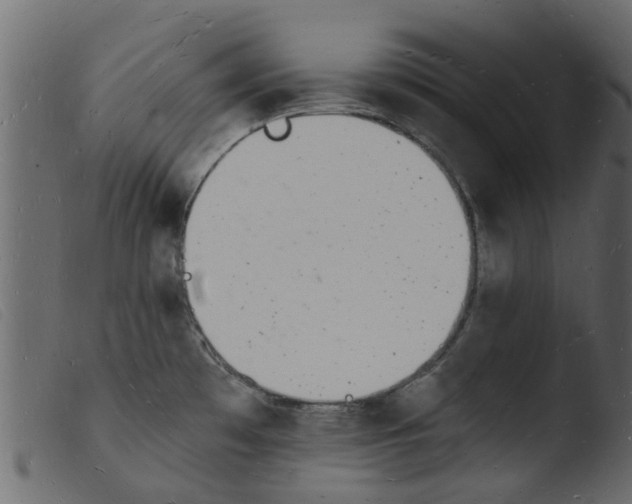 X0000103971481200810101256